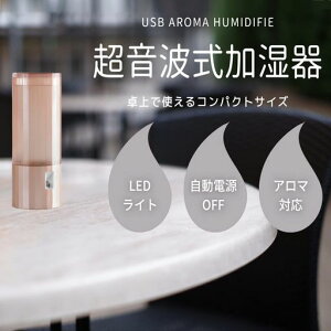 アピックス(APIXINTL)超音波式USBアロマ加湿器PolygonホワイトAUD-102(WH)