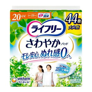 Ct[yApbh20ccz₩pbhpʗp4419cm(ƃ)