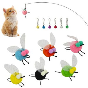 SONGWAYLL炵Ԓ˂ߋ6p