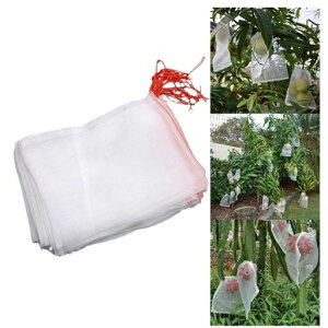 ʕ50ʎܖhlbghlbgʕیobOیlbgh悯lbgт퓍ԂǂВ25cmx15cm