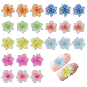 100vAԃ`[WSyr[Yt[CO3Dt[`[alCԎSy|DIY蕨Wp[c