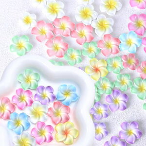 Makuki507FWvAԃ`[t[Syr[Yy_gCOԂтlbNXnCA|}[NCp[csAXa3dSy|LbgDIY蕨c