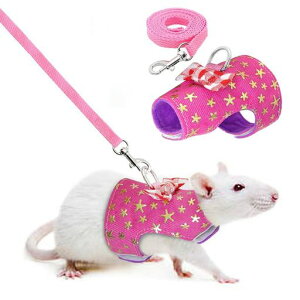 pnX^[Up[hXn[lX[Vopi߉\opn[lX[hybgꌡ[v}WbNe[vĎ؃Xjlqh~Łc