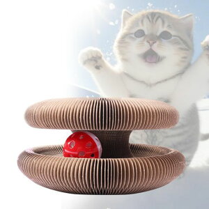 LRR{[蕗Ւ܂ƂLό`ʔ^sɗVԃ}^^rt