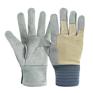 [DAYKET]vȋvƗpLTCY:hhhA~߁AʋCAz≀|Ao̙ɍœKȌRv