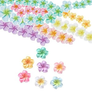 Coehaopike507FWvAԃ`[t[Syr[Yy_gCOԂтlbNXnCA|}[NCp[csAXa3dSy|LbgDIYc