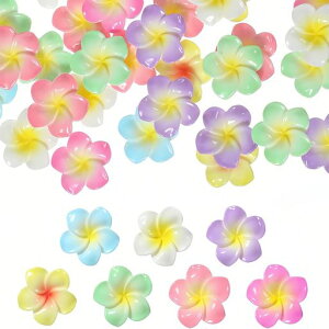 TOAURDAvAԃ`[507Ft[Syr[Yy_gԃCOgsJt[`[nCAԂтlbNXa3dSy|LbgLc