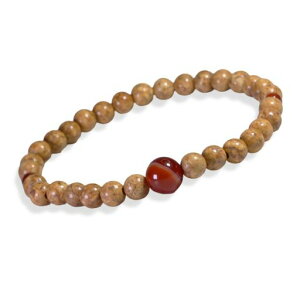 5mmVuXbguXjΘr֔O쏗jUIVR΂aΖfB[Xp[Xg[Nǉ^lC