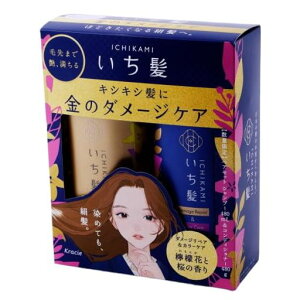 �N���V�G�z�[���v���_�N�c ������ �y�A�Z�b�g(D&C) 480ml+480g
