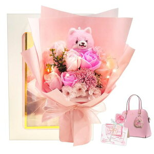 LEDCgt\[vt[ԑJ[l[VoԉČ̓aLOސEȂǂ̂j̃MtgɍœK