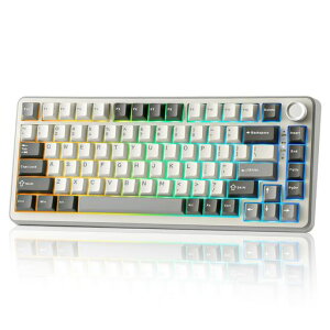 YUNZII B75 PRO 75% �K�X�P�b�g�Q�[�~���O�L�[�{�[�h �������J�j�J���L�[�{�[�h BT/2.4G/�L�� ���C�����X �z�b�g�X���b�v ���� RGB �m�u�t���J�X�^���L�[�{�[�h Mac/Win�p �Z�K�F�؎擾 (�O���[, �~�c