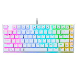 e���f Z-88 �Q�[�~���O�L�[�{�[�h �Ԏ� 75%�R���p�N�g 81�L�[ �e���L�[���X ���J�j�J���L�[�{�[�h �L�� PS5�Ή� RGB �z�b�g�X���b�v