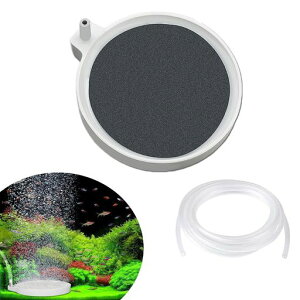 ZHEJIAGA[Xg[ی`C΍ׂAGA[Xg[?ÉϏ܋MыWECp(z[XtĂ܂)