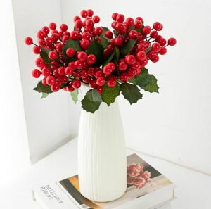 himsyudenx[6{ZbgVNNX}XqCMԂtFCNx[NX}Xc[I[igp[eB[֓X܏lHϗtAԗ֎Be