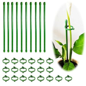 BIUTEFORx|AxϗtAxyԎx*10/tH_*20zԎxӒϗtxUxAT|[g_Ɨp|piK[fjOԎxxy30CMz