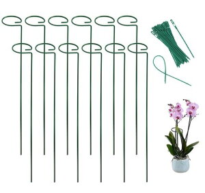 y12ZbgzAxԎx|x鐫AϗtxUx40cm/45cm/60cmAT|[gt[X^ht[xK[fjO_Ɨp|poht20{