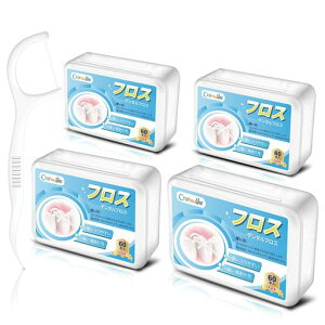 tX240{ɍ׃f^tXϋvtX₷ׂԃtX؂ɂԃPAgїp(e60{x4)