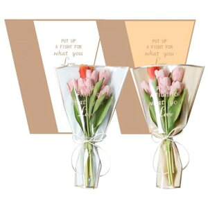 DIFEIUKIԎ100ZbgbsOy[p[hFgt[ݎDIYƖp|pbsOޗao^CLO蕨ԉԑpi