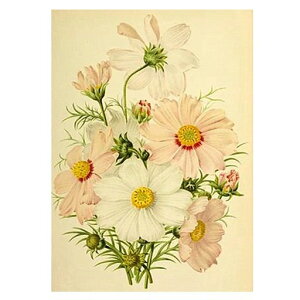 JISHSHAY_ChA[gLbg30x40cm_ChA[gelCr[YA[gSҎ|Lbg5D_ChA[gRXX̉ԊGLbgLbgǂ̑lDIYSʓ\tc