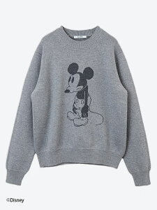 �X���[�� SLOANE ���j�Z�b�N�X 10G�_�u���W���J�[�h�҂� �G�N�X�g���t�@�C�������m�E�[�� MICKEY MOUSE SL10W-1029