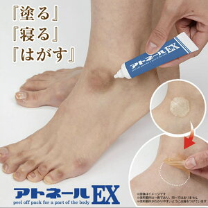 ̊pPApbN Agl[EX 15g ̐FfPA pd zpbN 