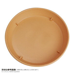 ����Z�[���I���b�`�F�� �~�h���v���[�g 20�^ �u���E��