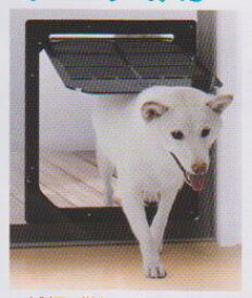 エーワンPD3742 犬猫出入り口(網戸用)中型犬用 北海道、東北、沖縄地方は別途送料あり