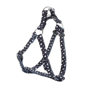 y[֐p szPetio(yeBI) ARFashion n[ghbgn[lX XS ubN (W57260)