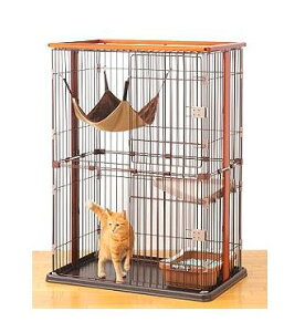 {rAR EbhT[NLbg 2i^Cv