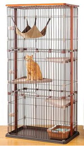 ボンビアルコン ウッドワンサークル キャット 3段タイプ (キャット 