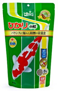 L[ Ђ菬 400git[hj