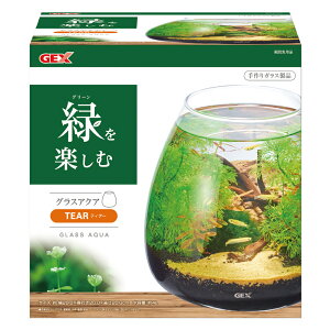 GEX(WFbNX) OXANA eBA[