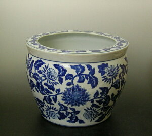 鉢 魚 ペットの人気商品 通販 価格比較 価格 Com