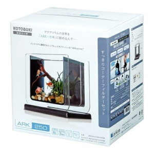 ̔IRguLH| A[N250 R[i[tB^[Zbg