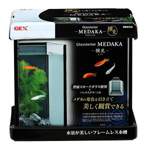 GEX(WFbNX) OXeA _J 