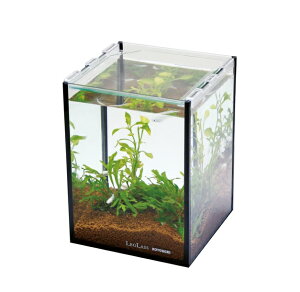 RguL NX^L[u 150H/B VR 15cm