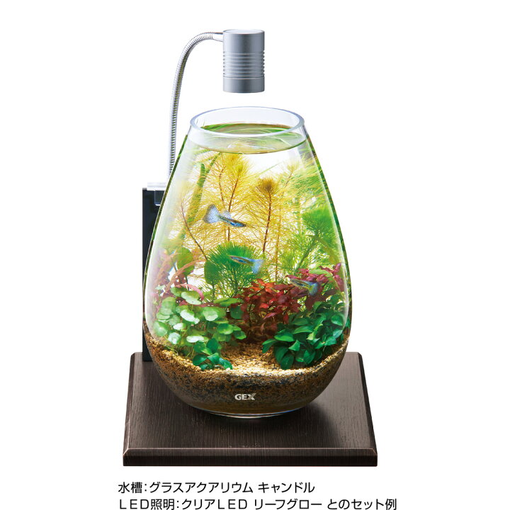 市場 GEX アクアラックスチール ジェックス 市場 GEX アクアラックスチール ジェックス