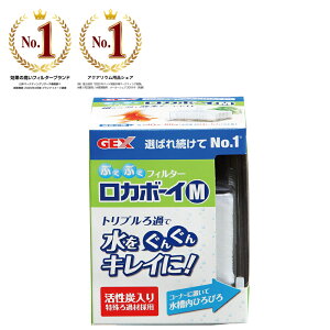 GEX(WFbNX) J{[C M RM-1