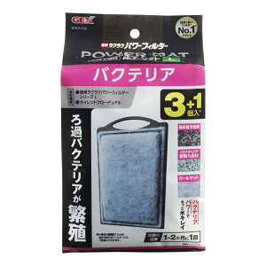 GEX(WFbNX) oNeAp[}bg L 3+1 N