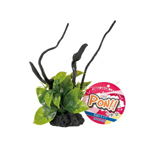 RguLH| PON!!Ɛ PON-} S ii