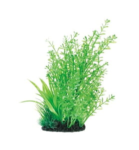 GEX(WFbNX) i MIXvc L p[