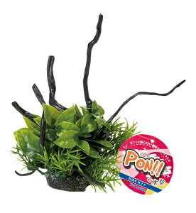 RguLH| PON!!Ɛ PON-}M ii