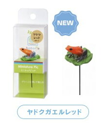 楽天市場 ミニチュア 熱帯魚 アクアリウム ペット ペットグッズ の通販 楽天市場 ミニチュア 熱帯魚 アクアリウム ペット ペットグッズ の通販