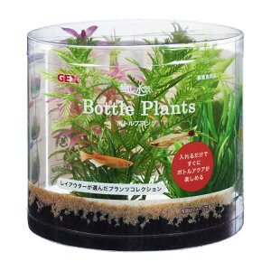 GEX(WFbNX) i {gvc ~ItB