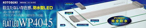 菤iIRguLH| tbgLED WP4045(2408)