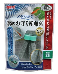 GEX(ジェックス) メダカ元気 卵のお守り産卵床 緑