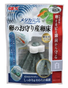 ݌ɌIGEX(WFbNX) _JC ̂Y  (2407)