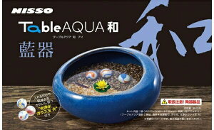 菤iINisso(jb\[) e[uANA a 