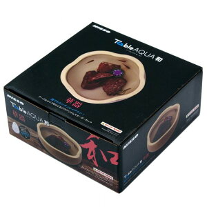 菤iINisso(jb\[) e[uANA a ؊