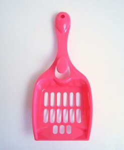 AC L̃gCp XRbv bh P605